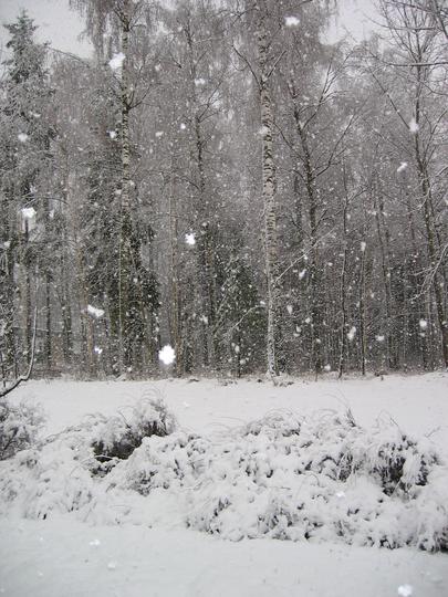 Clumpy Snow Flakes in a Flash