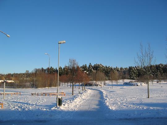 Walking Path Home, Linkoping