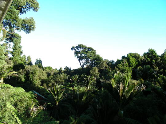 Te Nikau, Punakaiki, New Zealand