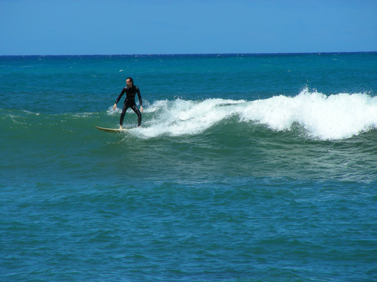 Monkey Surfing Paia Bay